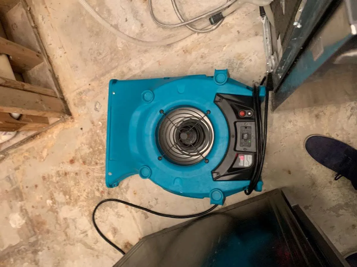 Air mover drying equipment for Mold Remediation & Removal in South Salt Lake